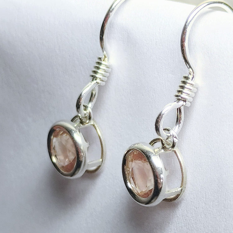 Silver Timeless & Modern Dangle Earring