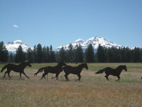 Horse Pendant with Oregon Sunstone