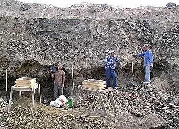 The Story of Oregon Sunstone Book
